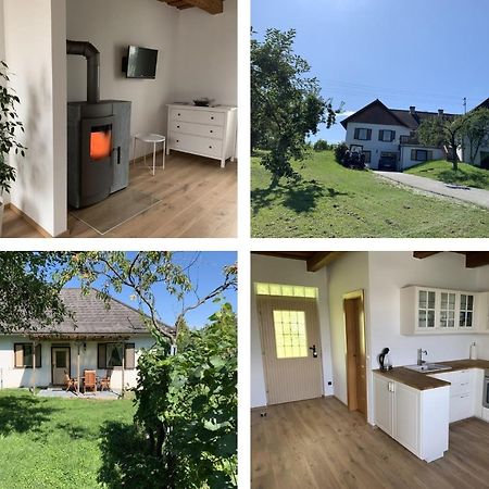 Urlaub Im Weingarten Winten  Экстерьер фото