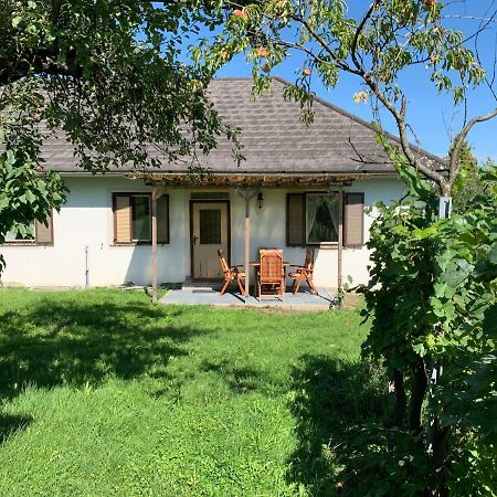 Urlaub Im Weingarten Winten  Экстерьер фото