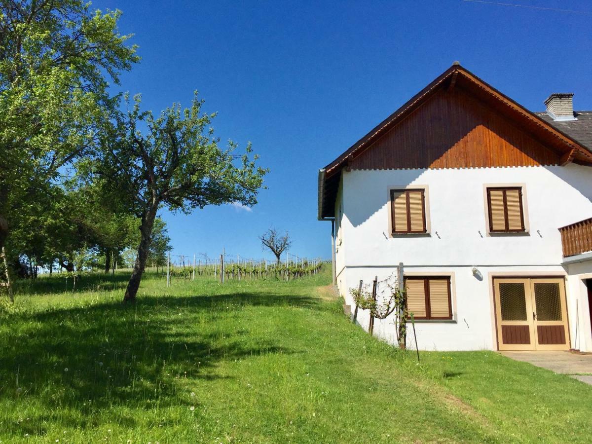 Urlaub Im Weingarten Winten  Экстерьер фото