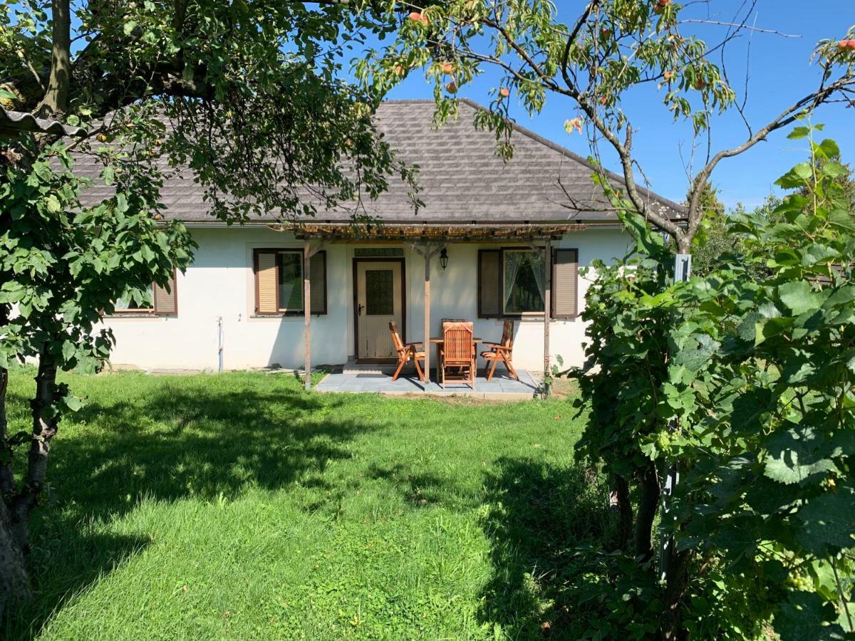 Urlaub Im Weingarten Winten  Экстерьер фото