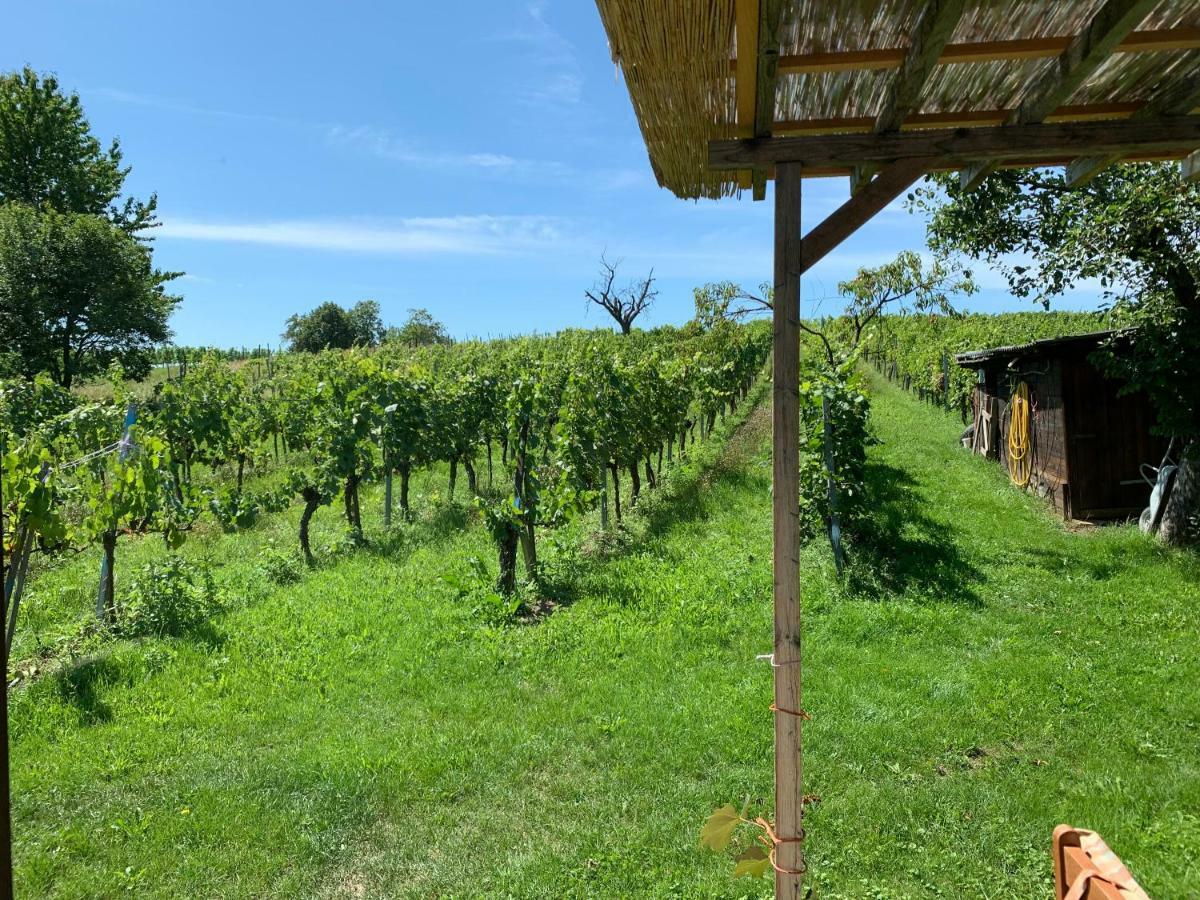 Urlaub Im Weingarten Winten  Экстерьер фото