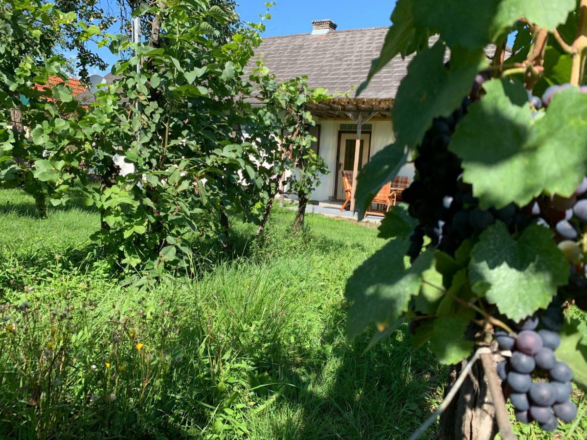 Urlaub Im Weingarten Winten  Экстерьер фото