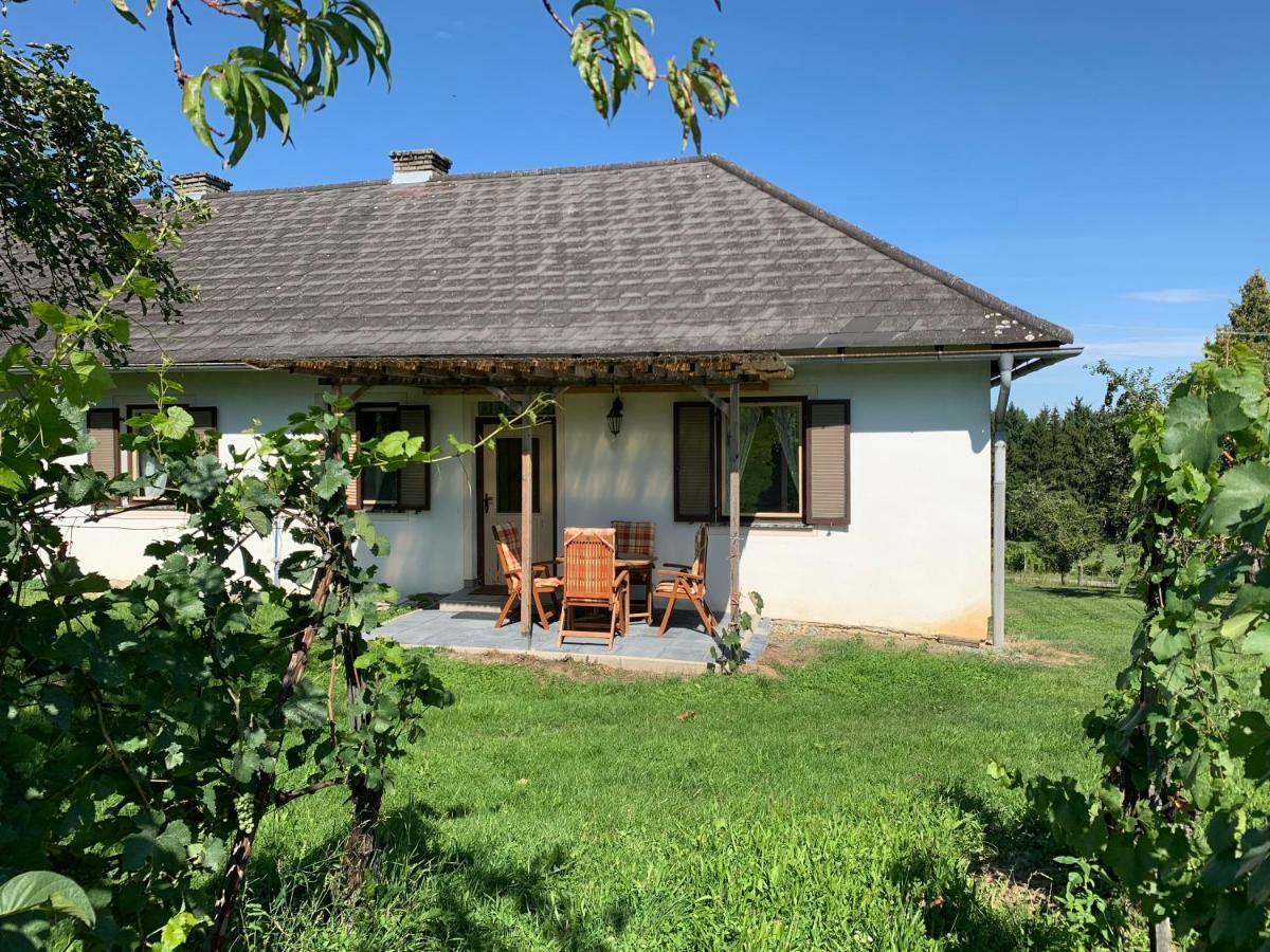 Urlaub Im Weingarten Winten  Экстерьер фото